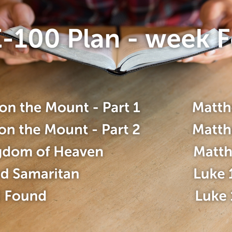 The E-100 Plan - week Feb 22